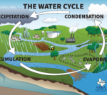 Water-Cycle-Poster2021